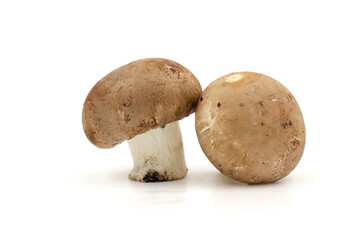 Fresh  champignon mushrooms isolated on a white background.  full depth of field.