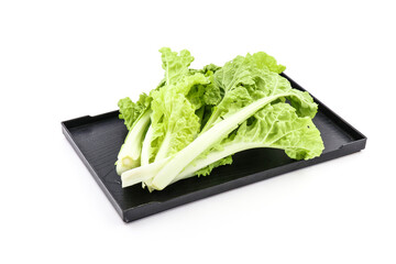 fresh green lettuce