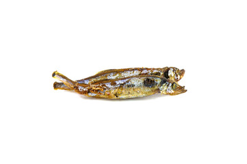 Fototapeta premium Seafood. Fried small sea fish, anchovies, capelin fish, isolated on white background