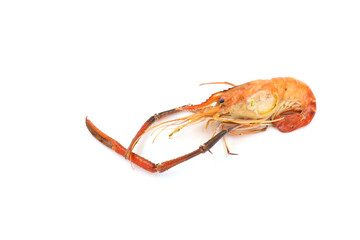 crayfish isolated on white