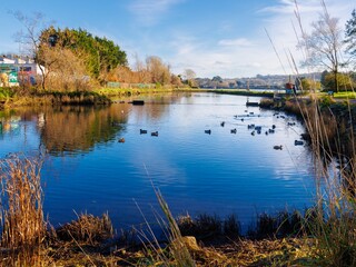Obraz premium lake in autumn