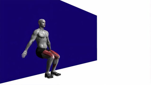 3D illustration animation of a fitness male model doing the paused bodyweight wall squat workout