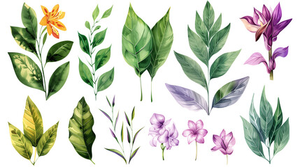 Naklejka premium Set of colourful botanical flowers and leaves in watercolor paint style on a transparent background. Isolated flowers and leaves for decoration elements in purple, orange and green colors.
