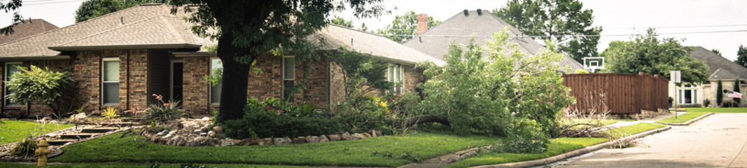 Panorama corner house front yard curbside landscaping damaged by large branch fallen off from tall tree by strong wind heavy storm in Dallas, Texas, home insurance claim, severe weather debris