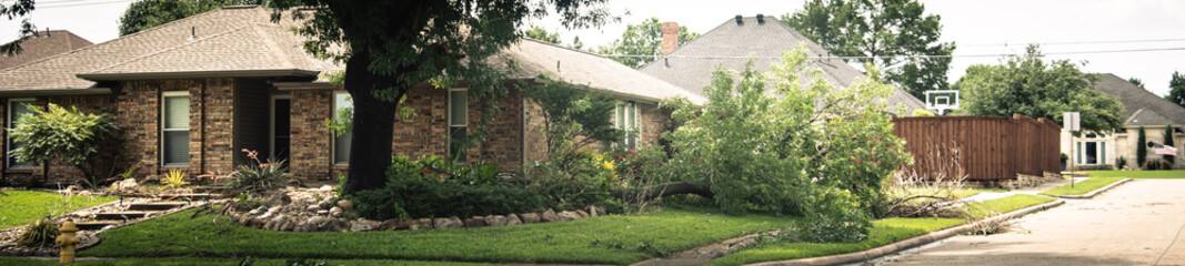 Panorama corner house front yard curbside landscaping damaged by large branch fallen off from tall...