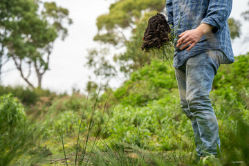 agronomist on a farm practicing agronomy holding soil, doing soil tests in her home laboratory. Looking at soil life in australia
