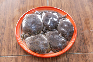 fresh bullfrog which has brown color in the tray and put on the table. Bullfrog is food of the people of Northeast Thailand with selective focus.