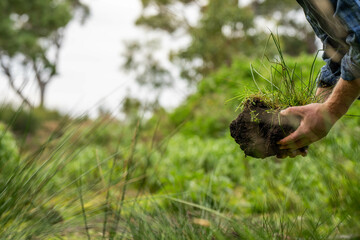 farmer hold soil in hands monitoring soil health on a farm.in australia