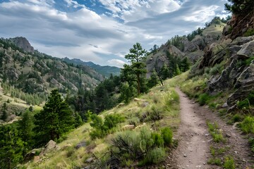 Scenic mountain hiking trail through lush green wilderness landscape