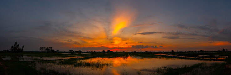 Silhouette tree with sunset.Tree silhouetted against a setting sun.Beautiful clouds,Sunlight with dramatic sky,Thailand,Asia.Photo landscape open green field dramatic sunrise.