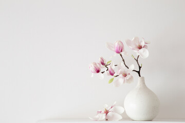 magnolia flowers in vase in white background