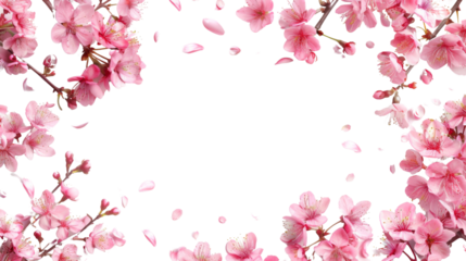 Cherry blossom flower branch border , frame