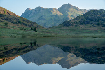 Pike O' Stickle reflection in Blea Tarn at sunrise