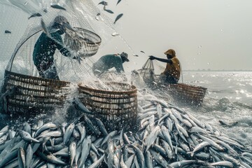 Fishermen Collecting Fish from River