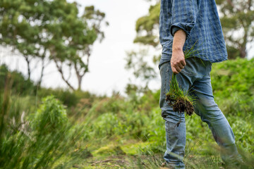farmer holding soil taking a soil sample for a soil test in a field. Testing carbon sequestration and plant health in Australia