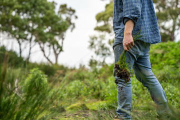 farmer holding soil on her hands on a farm looking after the health of the earth in spring in australia