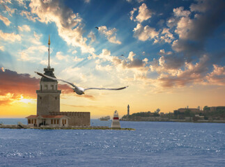 Fototapeta premium Seagull in focus, Maiden's Tower and sunset view in the background..