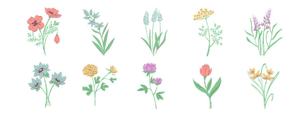 Spring Flowers Element Set Vector
