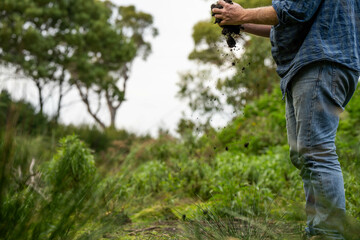 regenerative organic farmer, taking soil samples and looking at plant growth in a farm. practicing sustainable agriculture.
