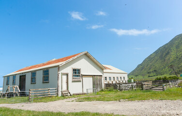 Obraz premium typical New Zealand shearing shed and yards