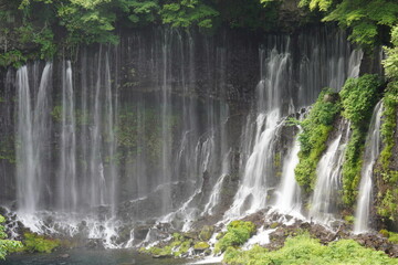 Obraz premium 白糸の滝