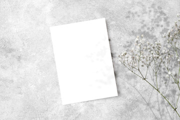 Fototapeta premium Blank wedding invitation card mockup with dry gypsophila flowers decor, copy space, top view