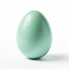 egg isolated on white