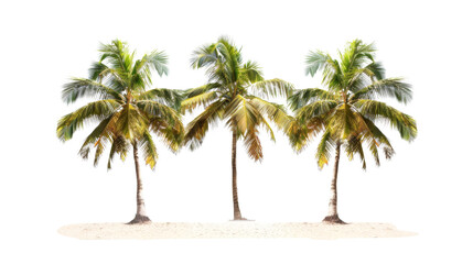 Palm trees, set