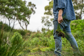 regenerative organic farmer, taking soil samples and looking at plant growth in a farm. practicing...