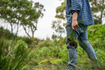 agronomist on a farm practicing agronomy holding soil, doing soil tests in her home laboratory....