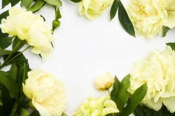 Delicate Yellow Peonies Frame