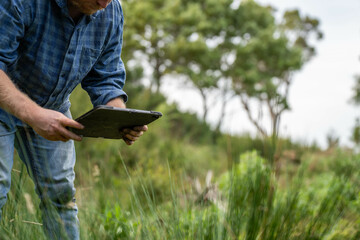 regenerative organic farmer, taking soil samples and looking at plant growth in a farm. practicing...