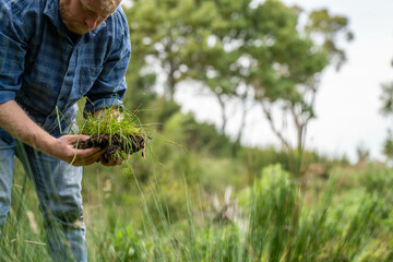 university student conducting research on forest health. farmer collecting soil samples in a test tube in a field. Agronomist checking soil carbon and plant health on a farm in australia © Phoebe