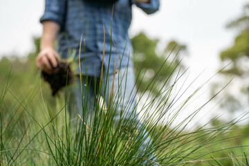 Holding soil in a hand, feeling compost in a field in Tasmania Australia.