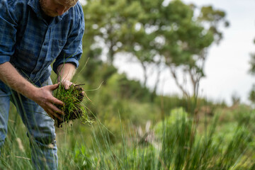 farmer hold soil in hands monitoring soil health on a farm.in australia