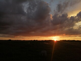hermoso atardecer en los llanos