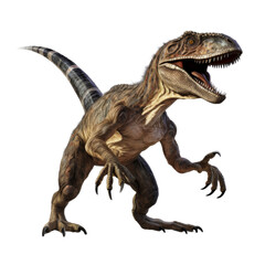 Velociraptor isolated on transparent or white background