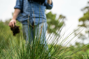 regenerative organic farmer, taking soil samples and looking at plant growth in a farm. practicing...