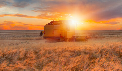 Combine harvester harvesting wheat field with amazing sunset sky