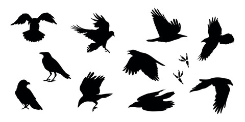 crow. a shadow. the silhouette of a crow. vector. black color. on a white background. seamless pattern. the pattern. animal. a wild animal. bird. Fly. traces.