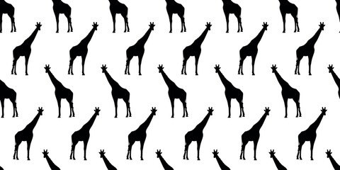 giraffe. a shadow. the silhouette of a giraffe. The color is black. animal. long. spot. giraffe tracks. vector. on a white background.