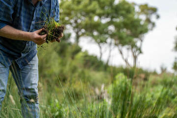 Holding soil in a hand, feeling compost in a field in Tasmania Australia.