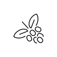 Coffee berries icon. Simple coffee berries icon for social media, app, and web design. Vector illustration