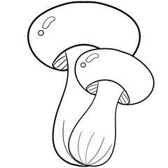 mushroom