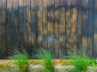 Brown wood plank wall texture background. Surface of teak wood background fence in garden. Wooden...