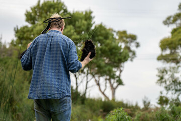 university student conducting research on forest health. farmer collecting soil samples in a test tube in a field. Agronomist checking soil carbon and plant health on a farm in australia