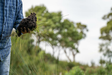 farmer hold soil in hands monitoring soil health on a farm.in australia