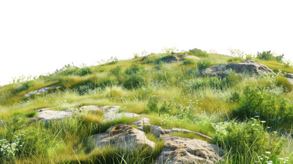 Hill landscape grassland panoramic