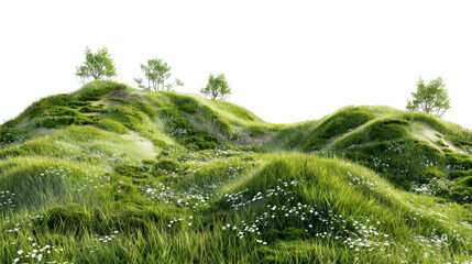 Hill landscape grassland panoramic