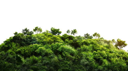 Hill landscape grassland panoramic